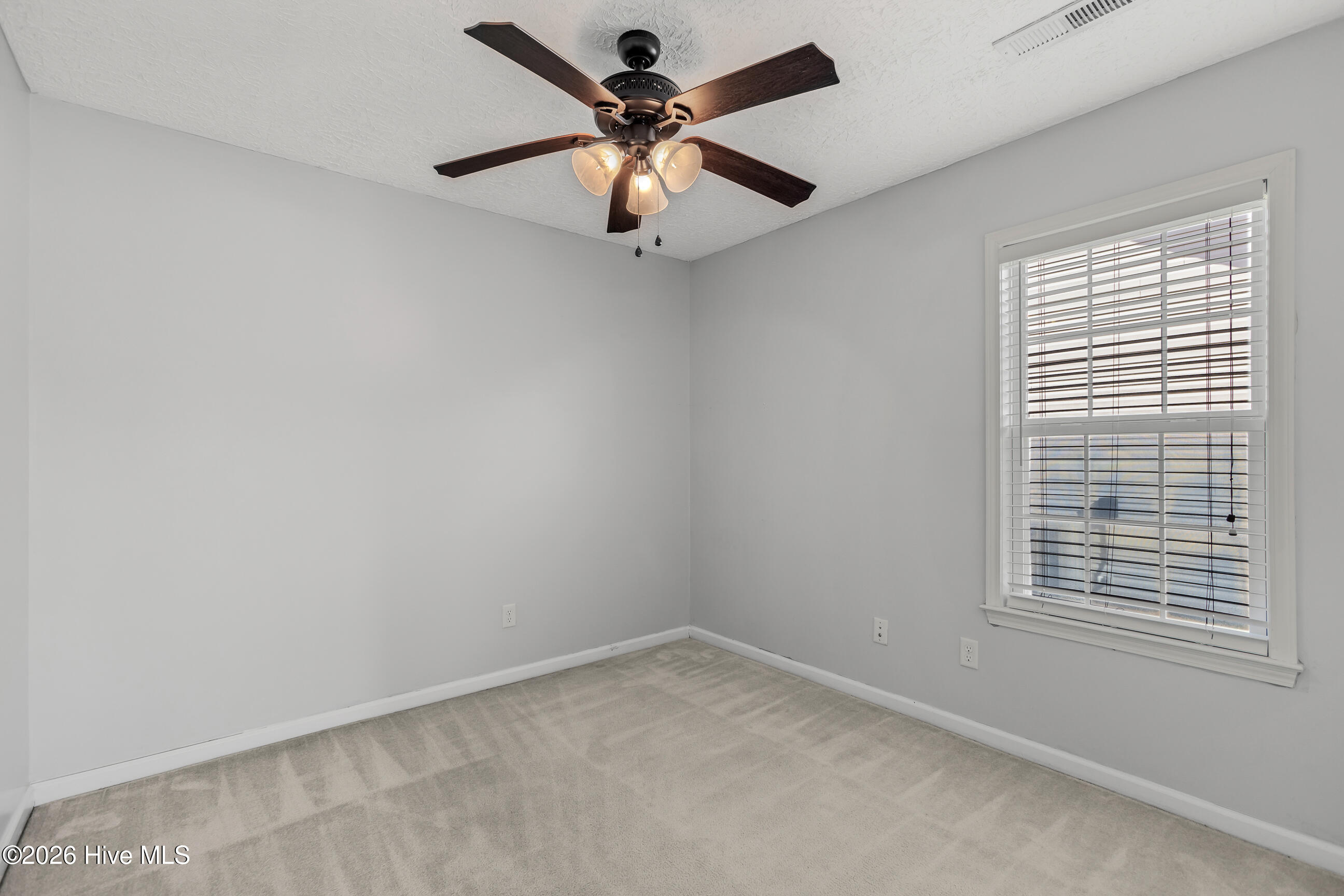 247 Red Carnation Drive Holly Ridge, NC 28445 - Photo 22 of 26 22