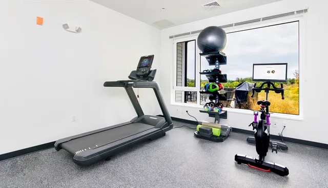 a living room with furniture rug and window