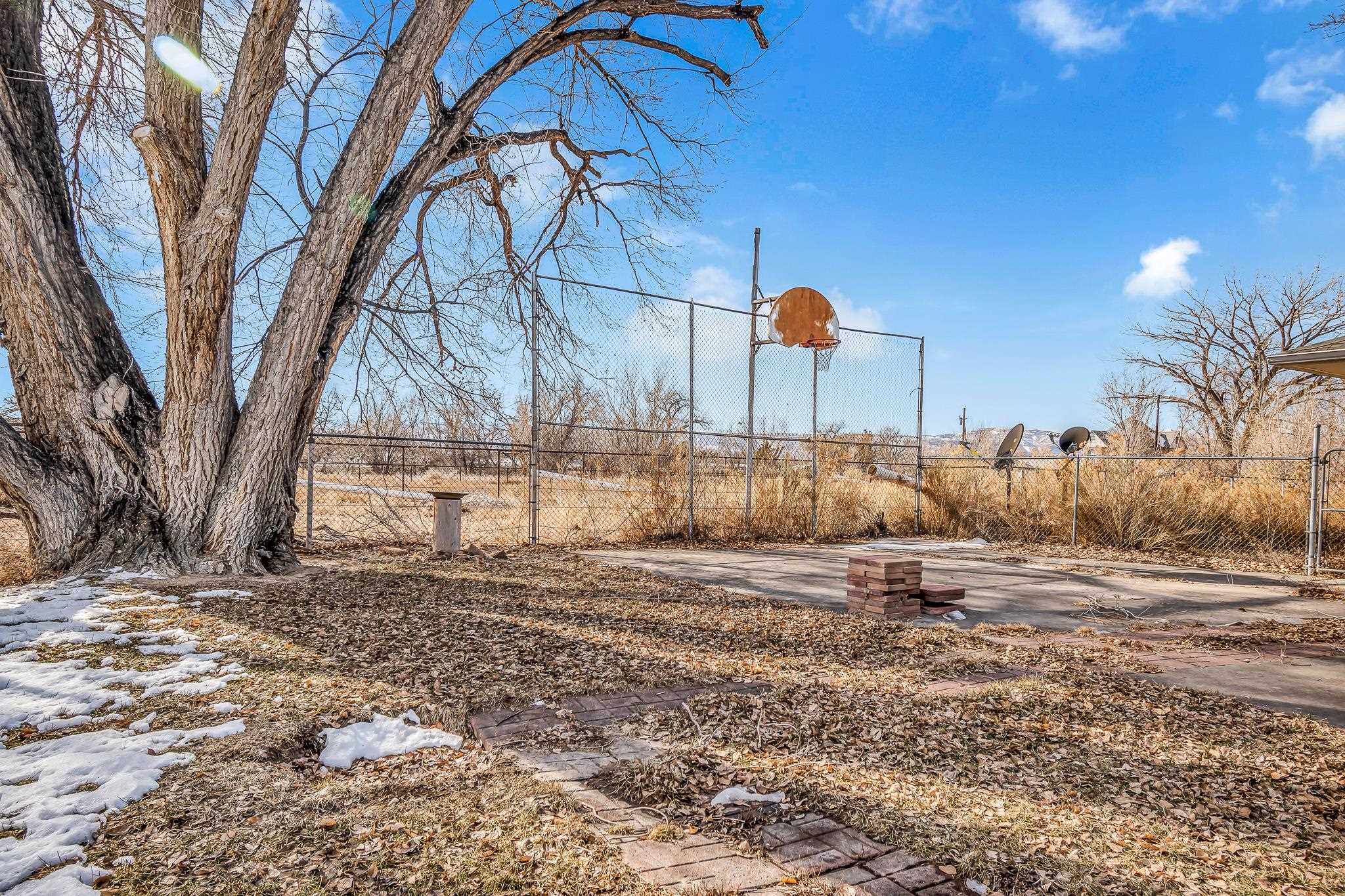 1024 24 Road Grand Junction, CO 81505 - Photo 41 of 42 a view of a yard with wooden fence