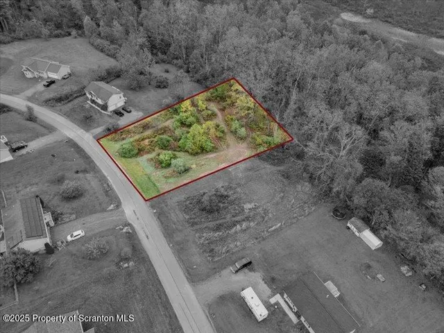 a view of a yard with plants and wooden fence