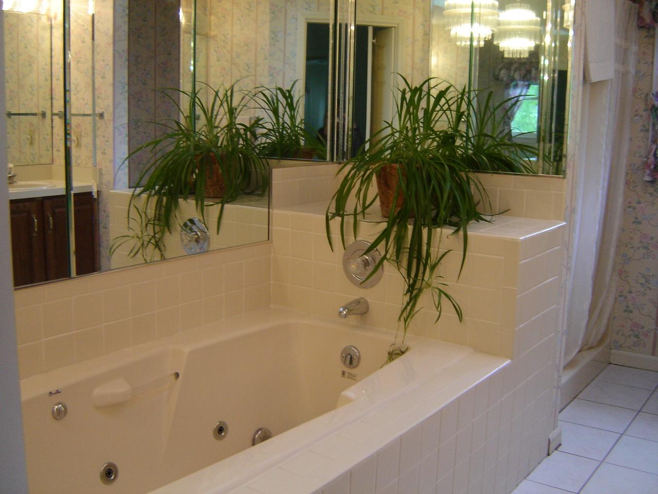 241 Stonehaven Lane Blue Ridge, VA 24064 - Photo 14 of 18 a bathroom with a bathtub and a shower