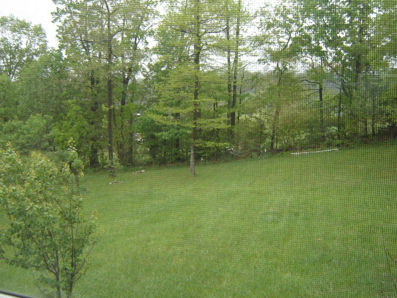 241 Stonehaven Lane Blue Ridge, VA 24064 - Photo 18 of 18 a view of a room with a trees
