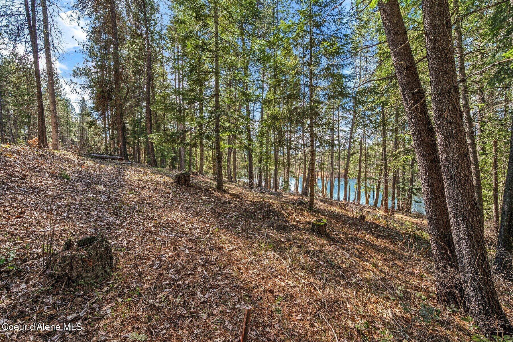 Nna Nna Hanaford Road Blanchard, ID 83804 - Photo 17 of 43 Hanaford Home site