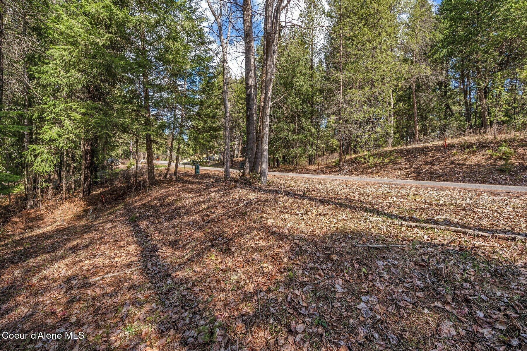 Nna Nna Hanaford Road Blanchard, ID 83804 - Photo 21 of 43 Hanaford Left to Street View