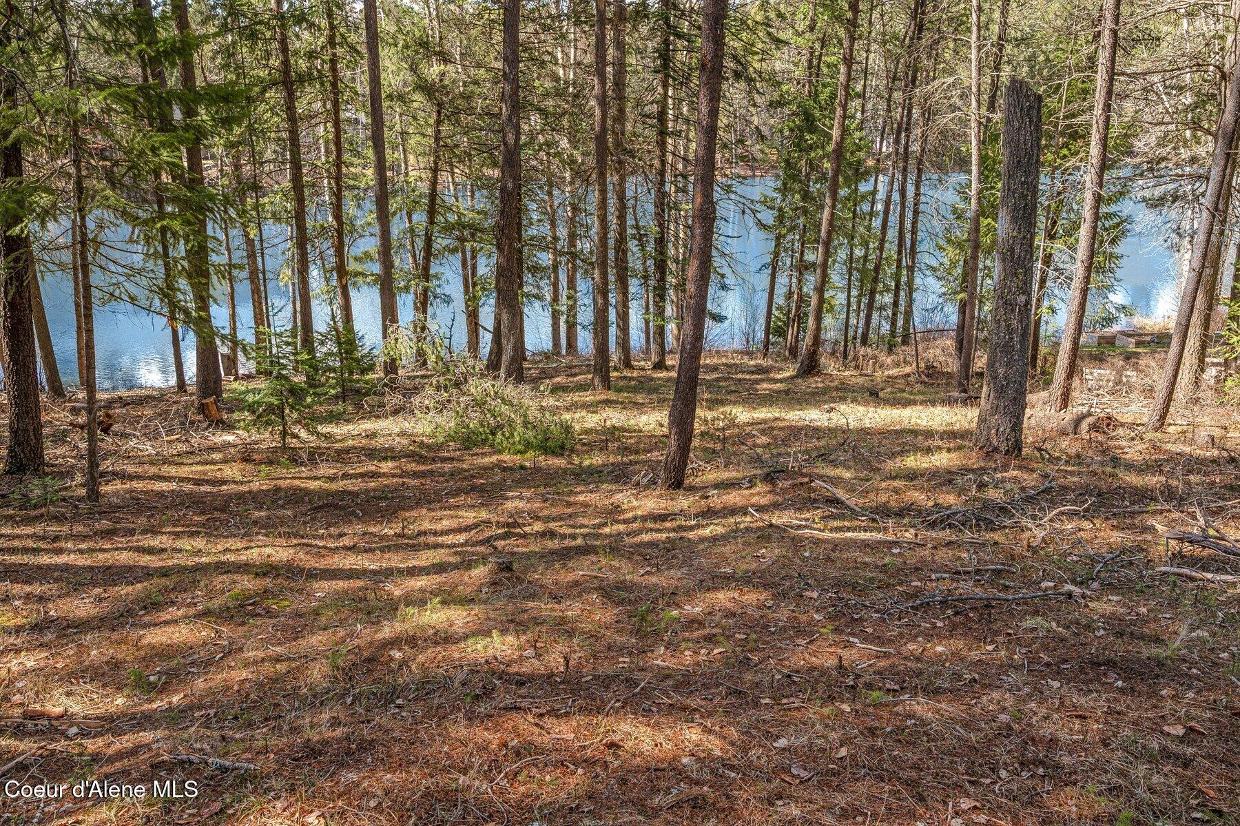 Nna Nna Hanaford Road Blanchard, ID 83804 - Photo 38 of 42 Hanaford Potential Home Site