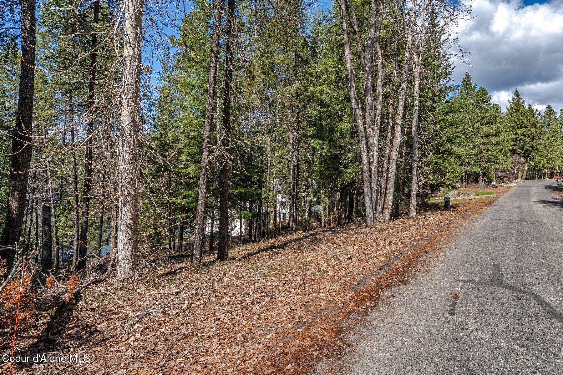 Nna Nna Hanaford Road Blanchard, ID 83804 - Photo 4 of 42 Hanaford Street view