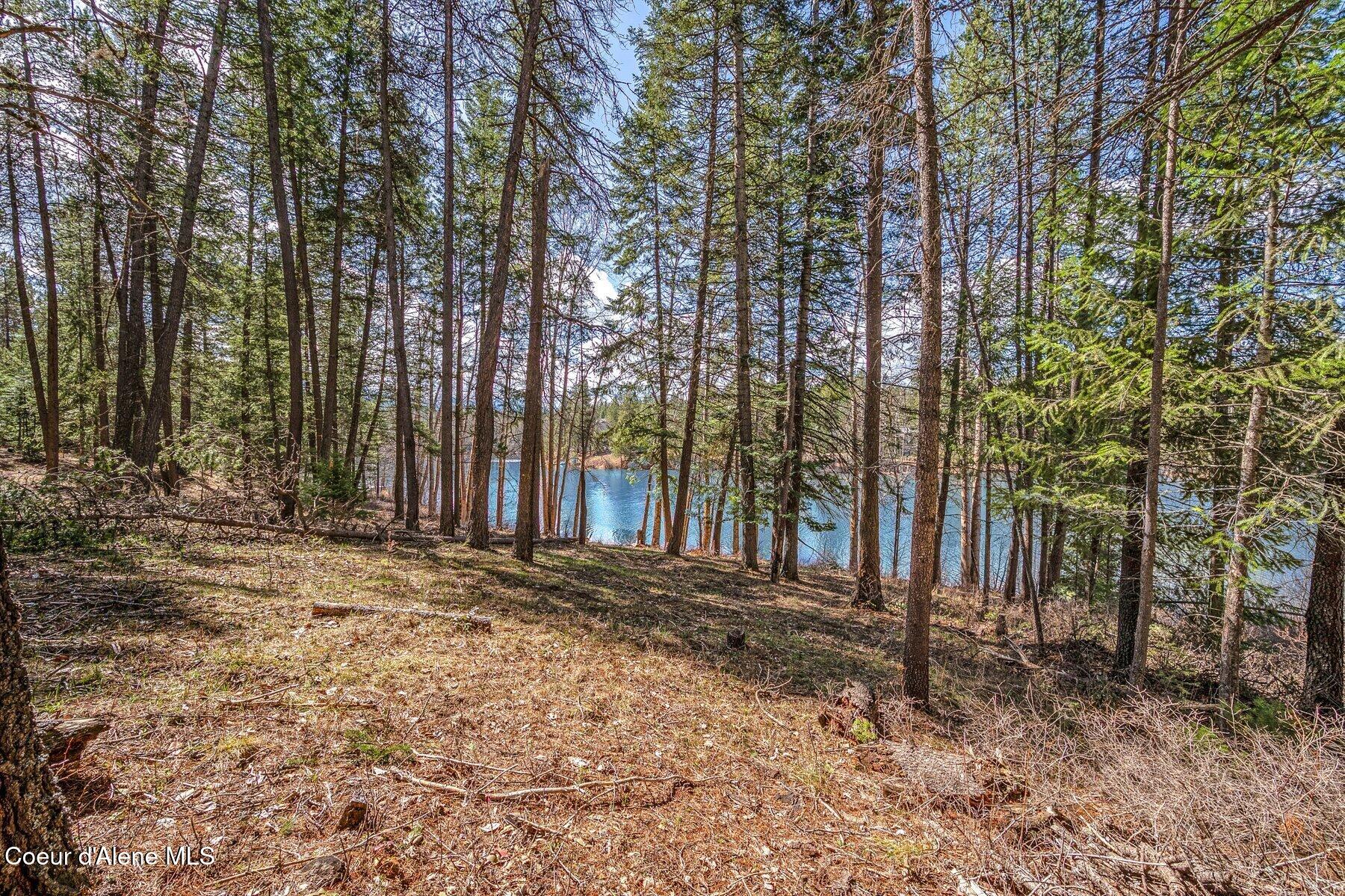 Nna Nna Hanaford Road Blanchard, ID 83804 - Photo 5 of 42 Hanaford Waterview home site