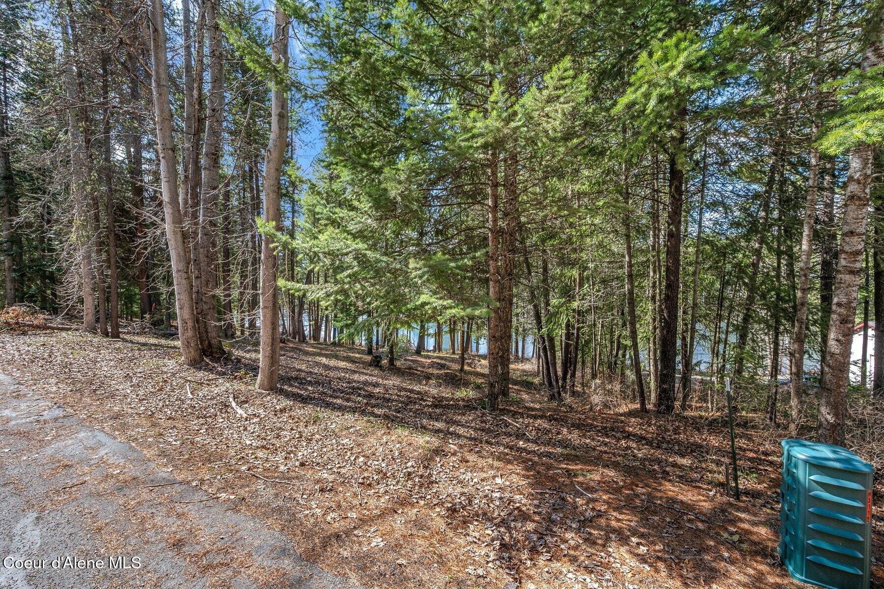 Nna Nna Hanaford Road Blanchard, ID 83804 - Photo 5 of 43 Hanaford Corner right