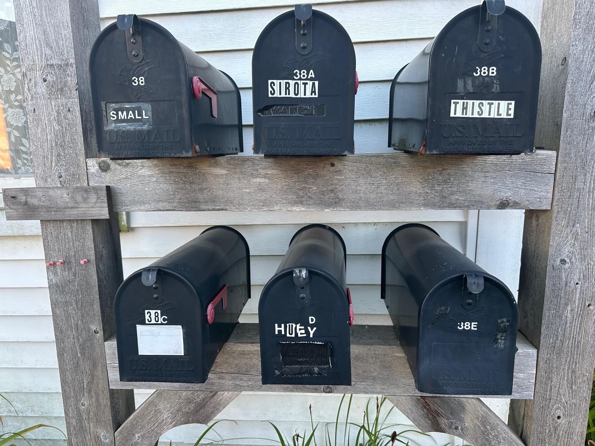 38 Spring Street Belfast, ME 04915 - Photo 36 of 53 IMG_6855