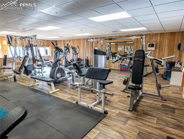 439 Andes Road Cripple Creek, CO 80813 - Photo 8 of 16 Gallery Image 8