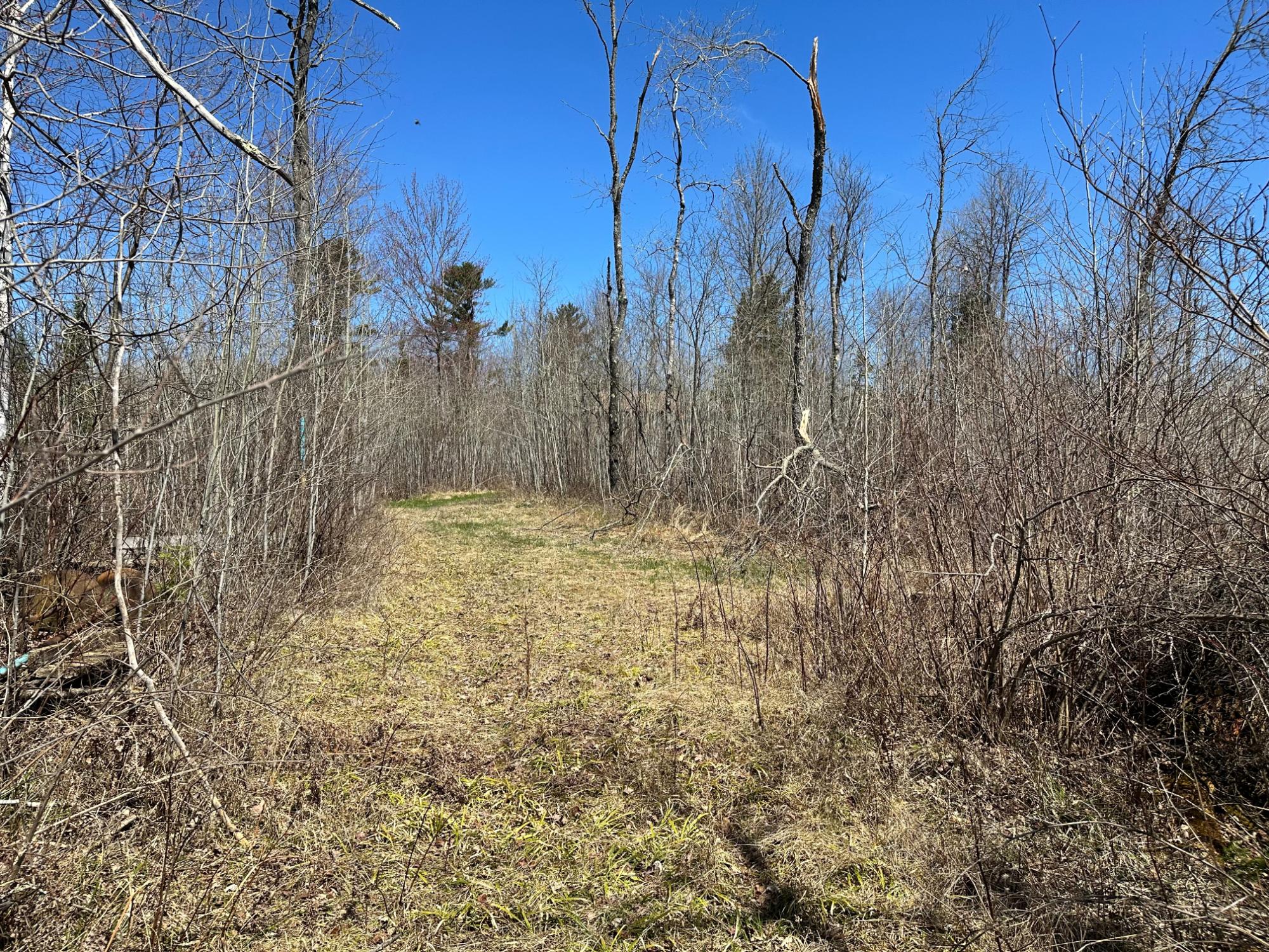 4646 Fay Lake Road Long Lake, WI 54542 - Photo 25 of 29 Gallery Image 25