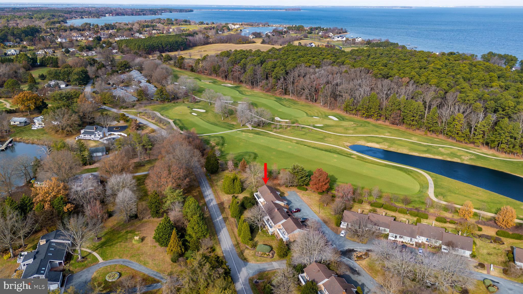 24700 Deepwater Point Drive, Unit 1 St. Michaels, MD 21663 - Photo 33 of 47 an aerial view of residential houses with outdoor space