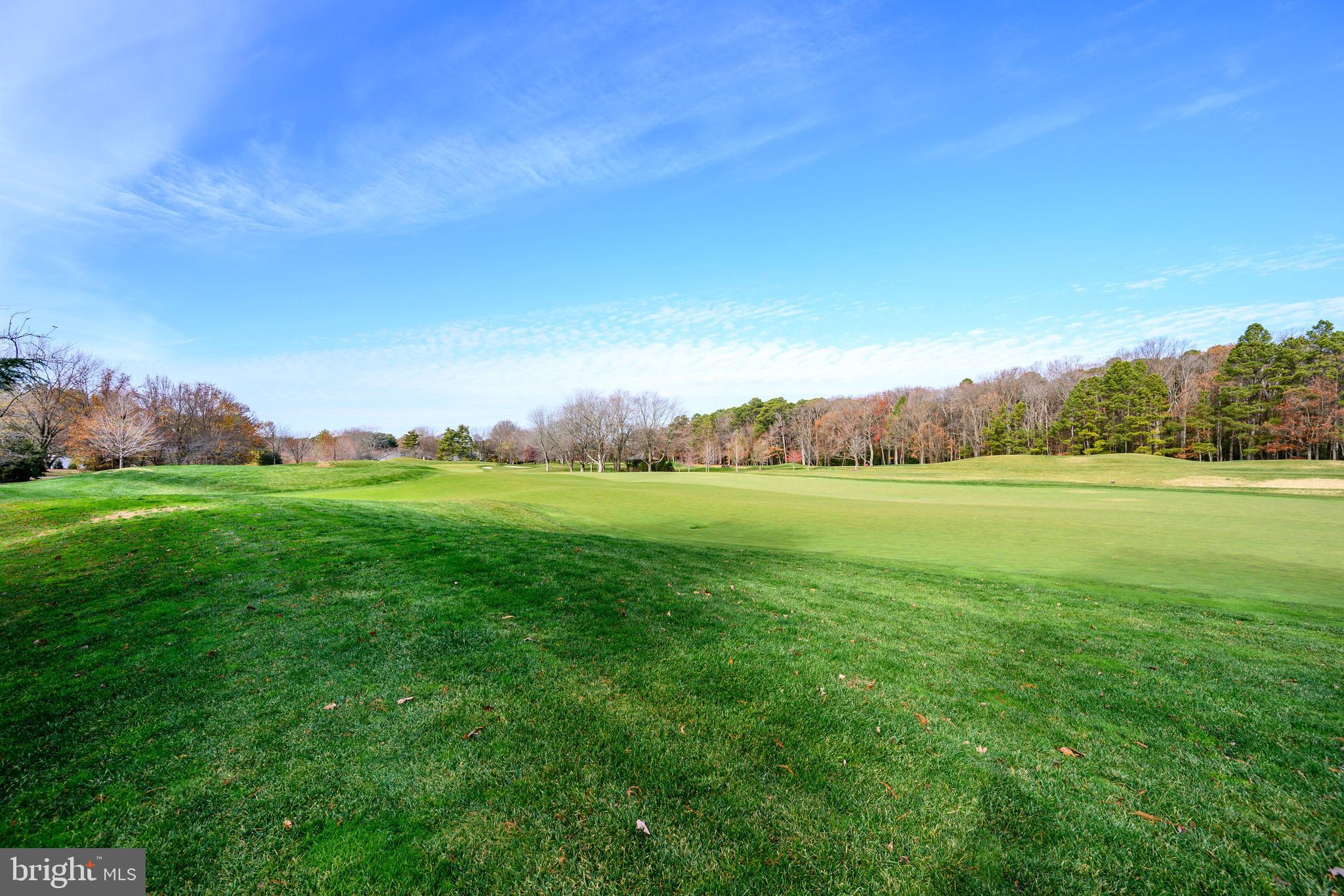 24700 Deepwater Point Drive, Unit 1 St. Michaels, MD 21663 - Photo 43 of 47 a view of an outdoor space and a yard