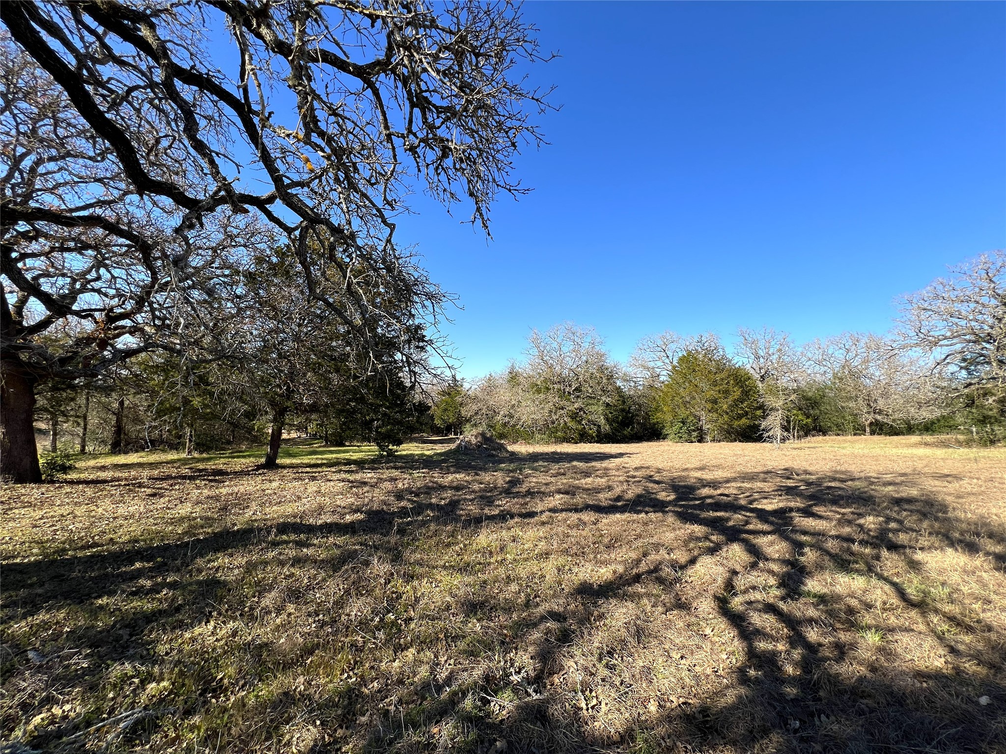 Tbd Rosanky Cattle Company Road Smithville, TX 78957 - Photo 26 of 40 a view of dirt yard with large trees