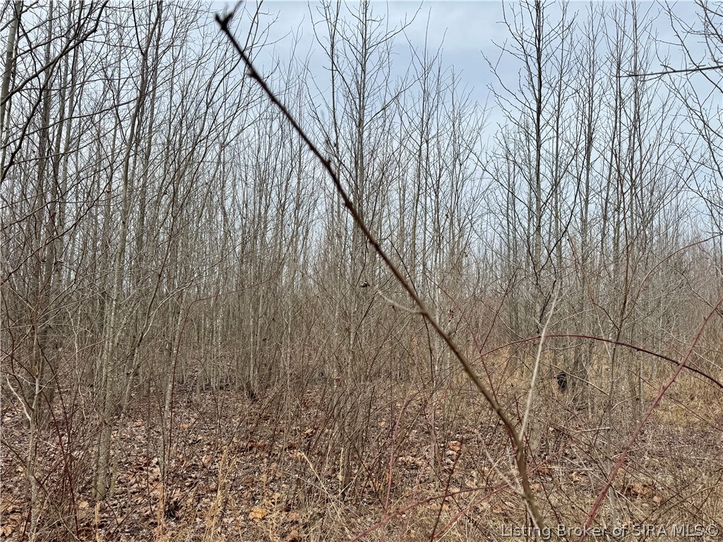 Cortner Road Marysville, IN 47141 - Photo 11 of 27