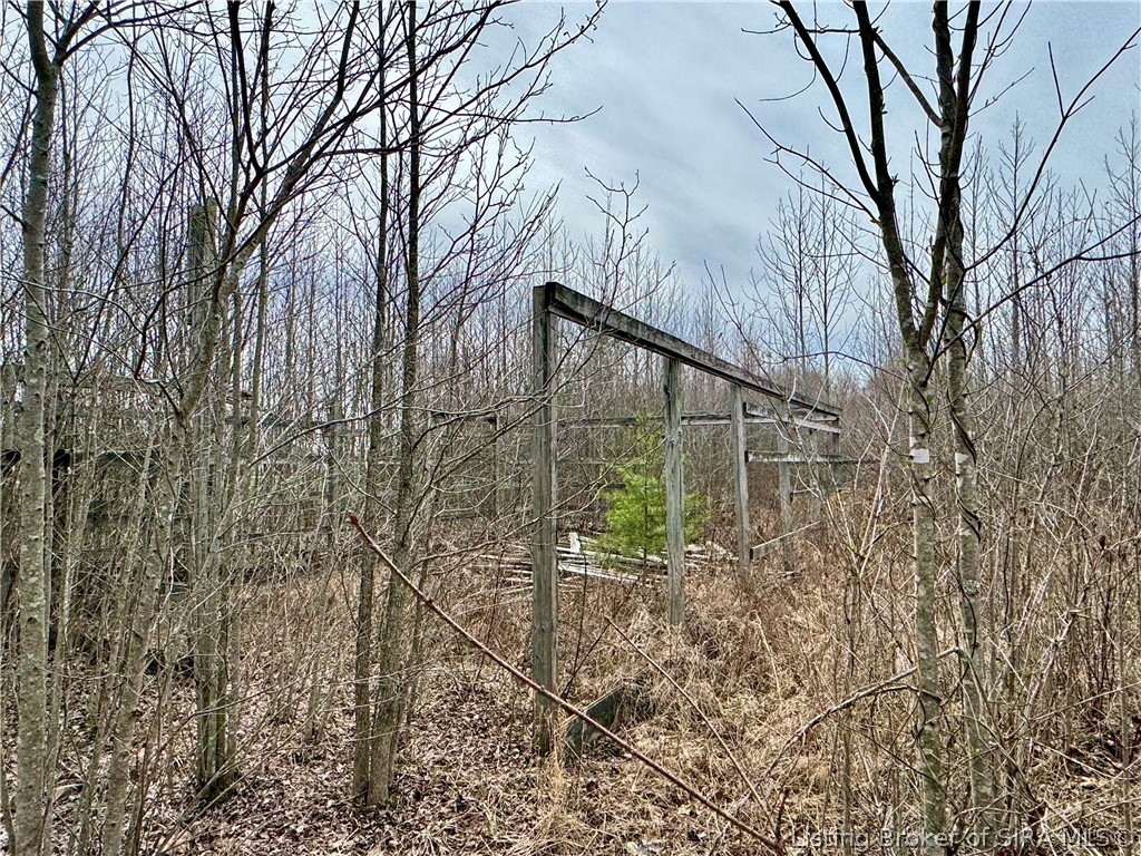 Cortner Road Marysville, IN 47141 - Photo 13 of 27