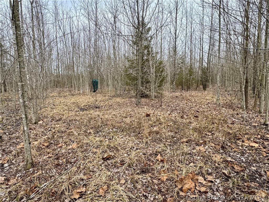Cortner Road Marysville, IN 47141 - Photo 14 of 27