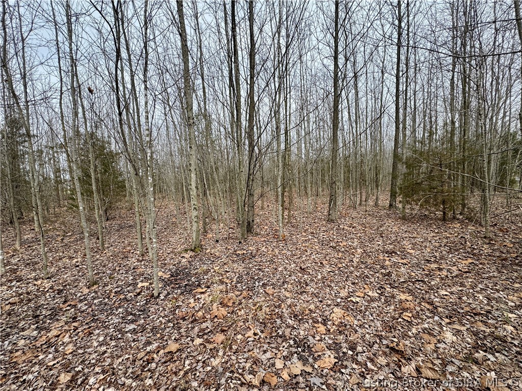 Cortner Road Marysville, IN 47141 - Photo 15 of 27