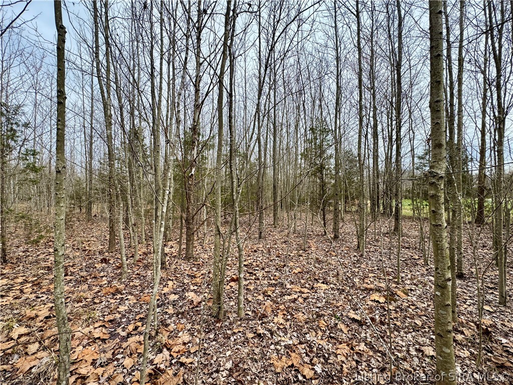 Cortner Road Marysville, IN 47141 - Photo 16 of 27