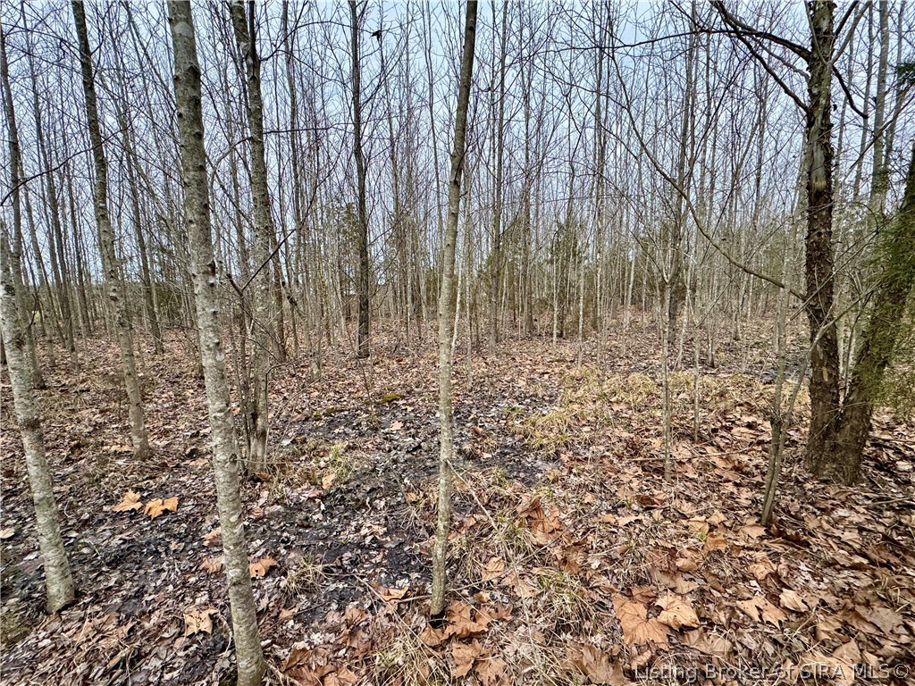 Cortner Road Marysville, IN 47141 - Photo 17 of 27