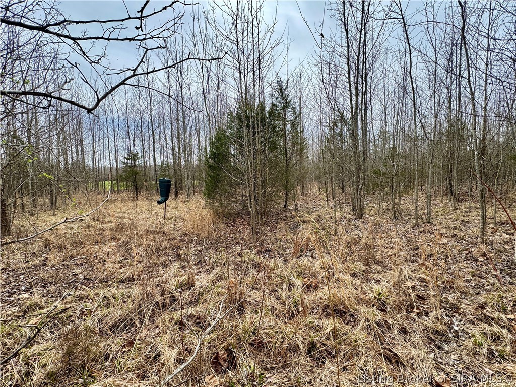 Cortner Road Marysville, IN 47141 - Photo 18 of 27