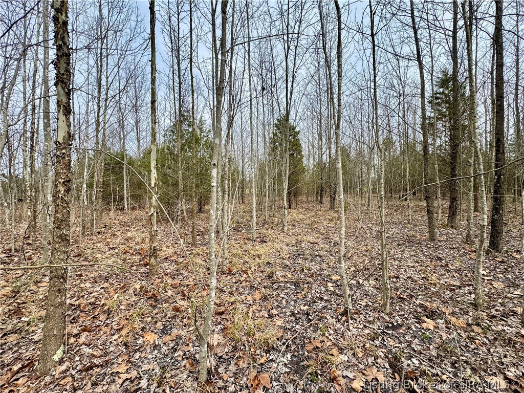 Cortner Road Marysville, IN 47141 - Photo 19 of 27