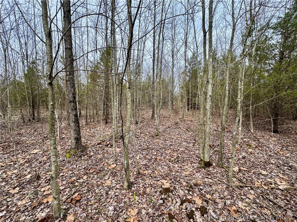 Cortner Road Marysville, IN 47141 - Photo 20 of 27