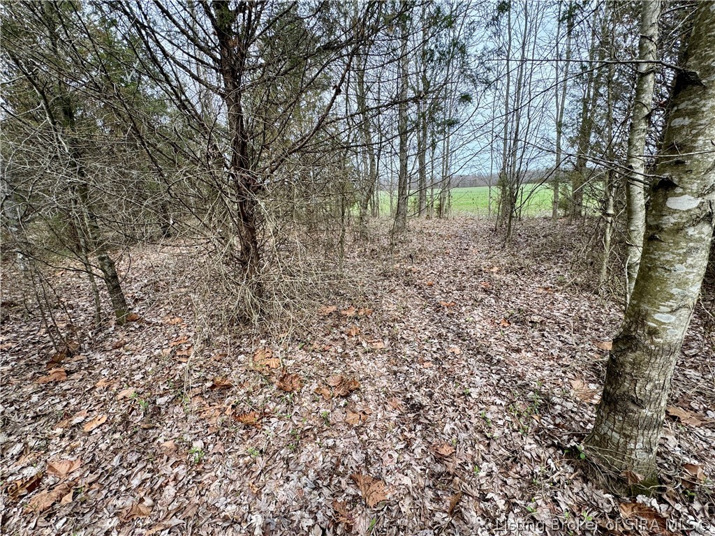 Cortner Road Marysville, IN 47141 - Photo 21 of 27