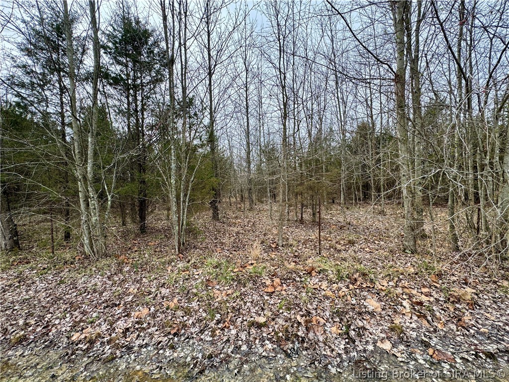 Cortner Road Marysville, IN 47141 - Photo 22 of 27