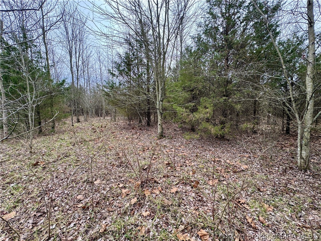 Cortner Road Marysville, IN 47141 - Photo 23 of 27