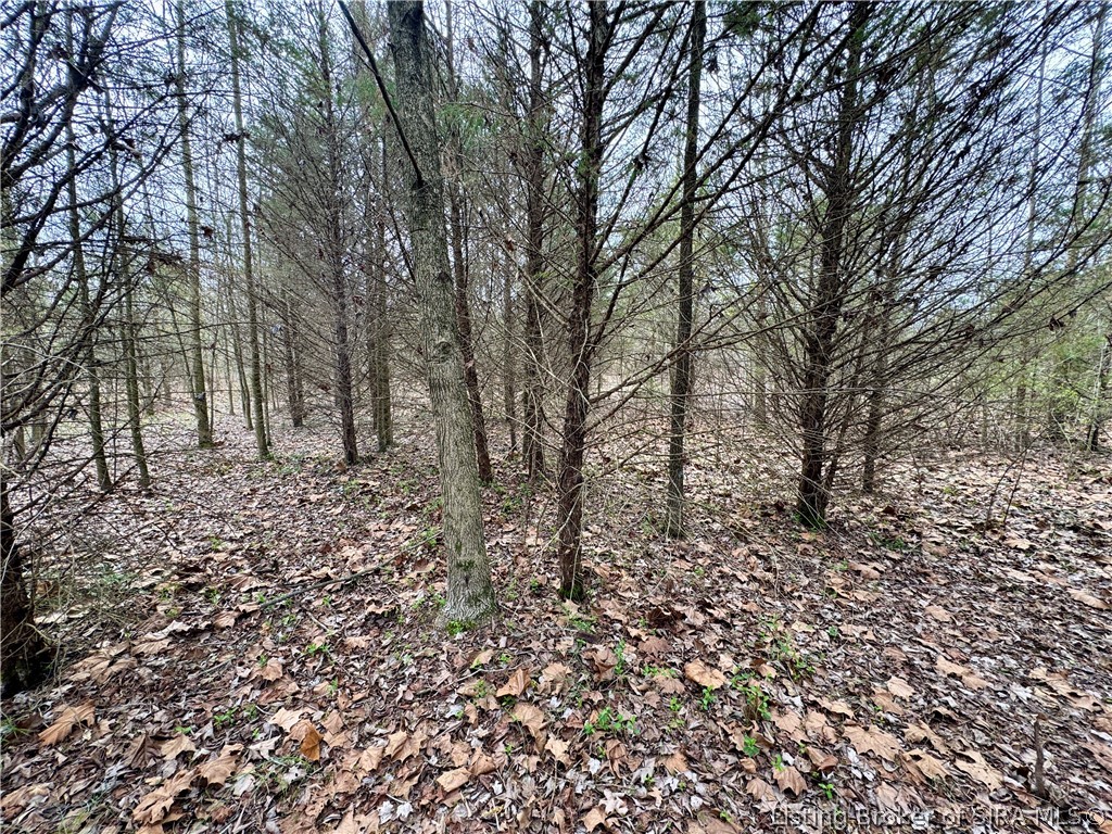 Cortner Road Marysville, IN 47141 - Photo 24 of 27