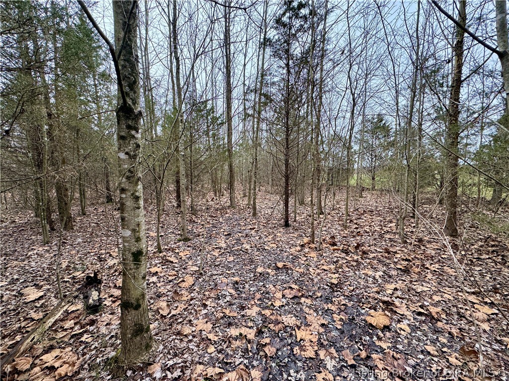 Cortner Road Marysville, IN 47141 - Photo 25 of 27