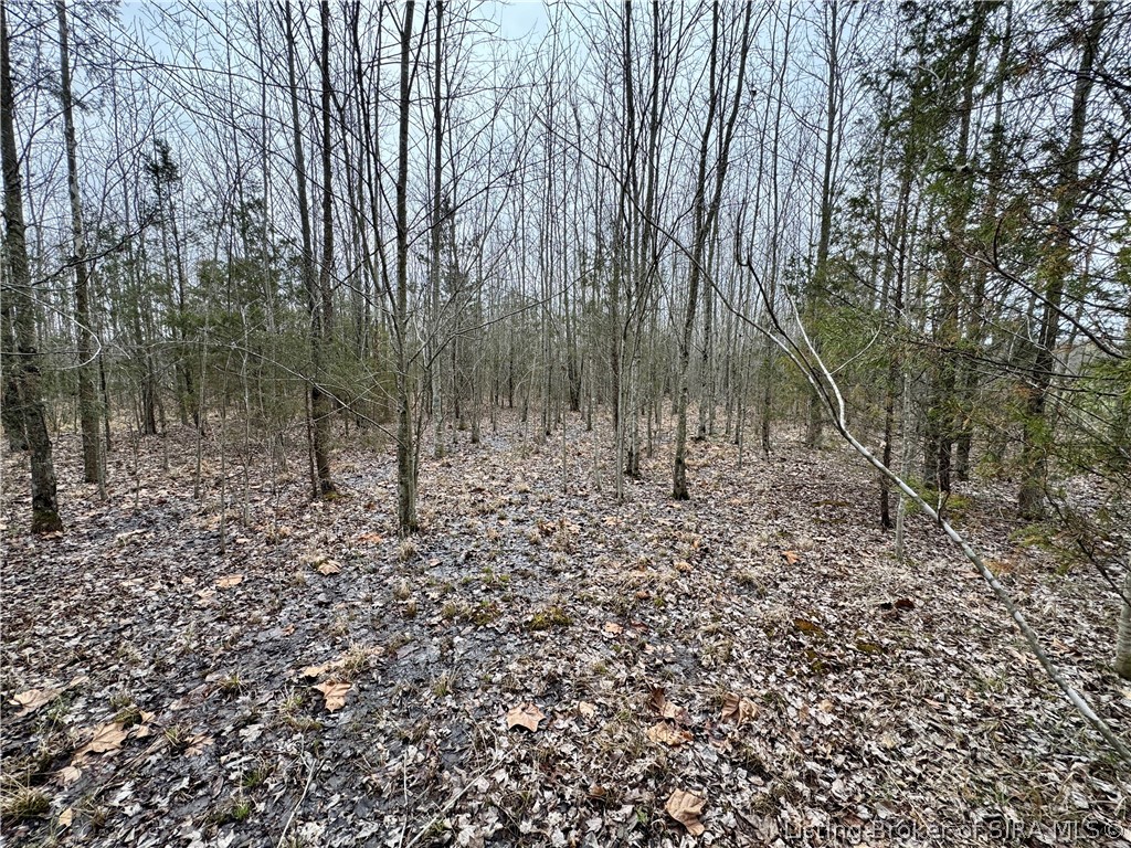 Cortner Road Marysville, IN 47141 - Photo 26 of 27