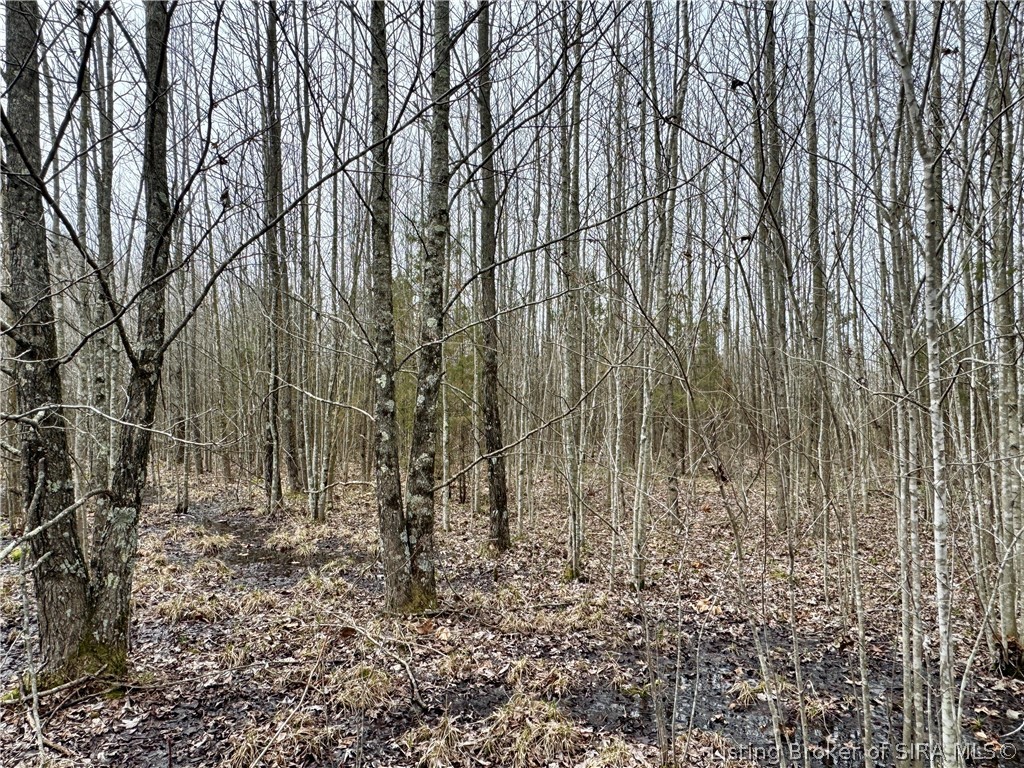 Cortner Road Marysville, IN 47141 - Photo 27 of 27