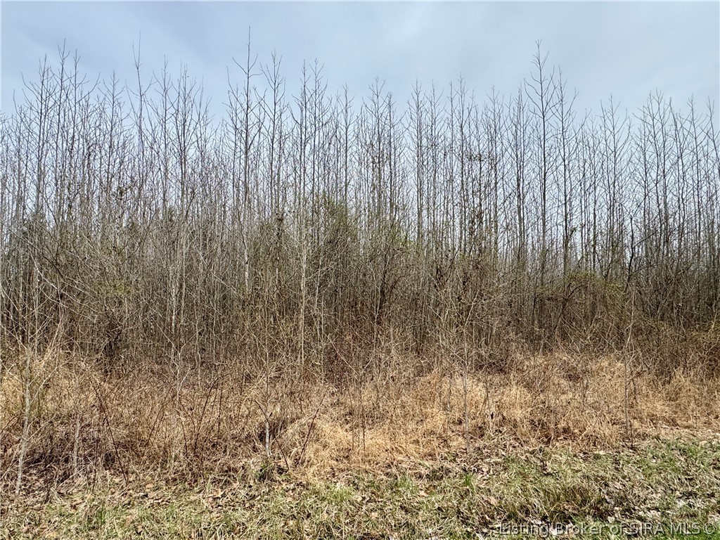 Cortner Road Marysville, IN 47141 - Photo 7 of 27