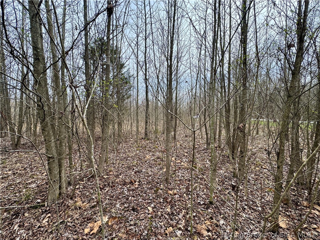 Cortner Road Marysville, IN 47141 - Photo 8 of 27