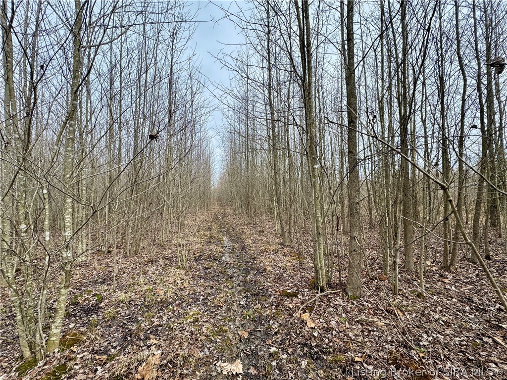 Cortner Road Marysville, IN 47141 - Photo 9 of 27