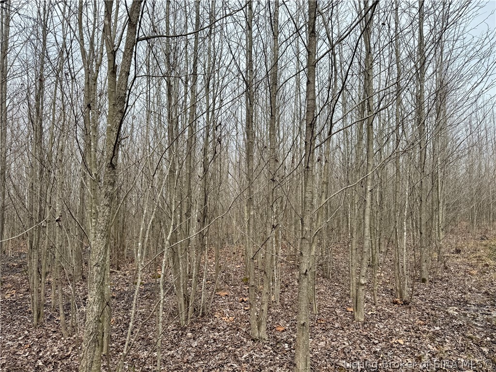 Cortner Road Marysville, IN 47141 - Photo 10 of 27