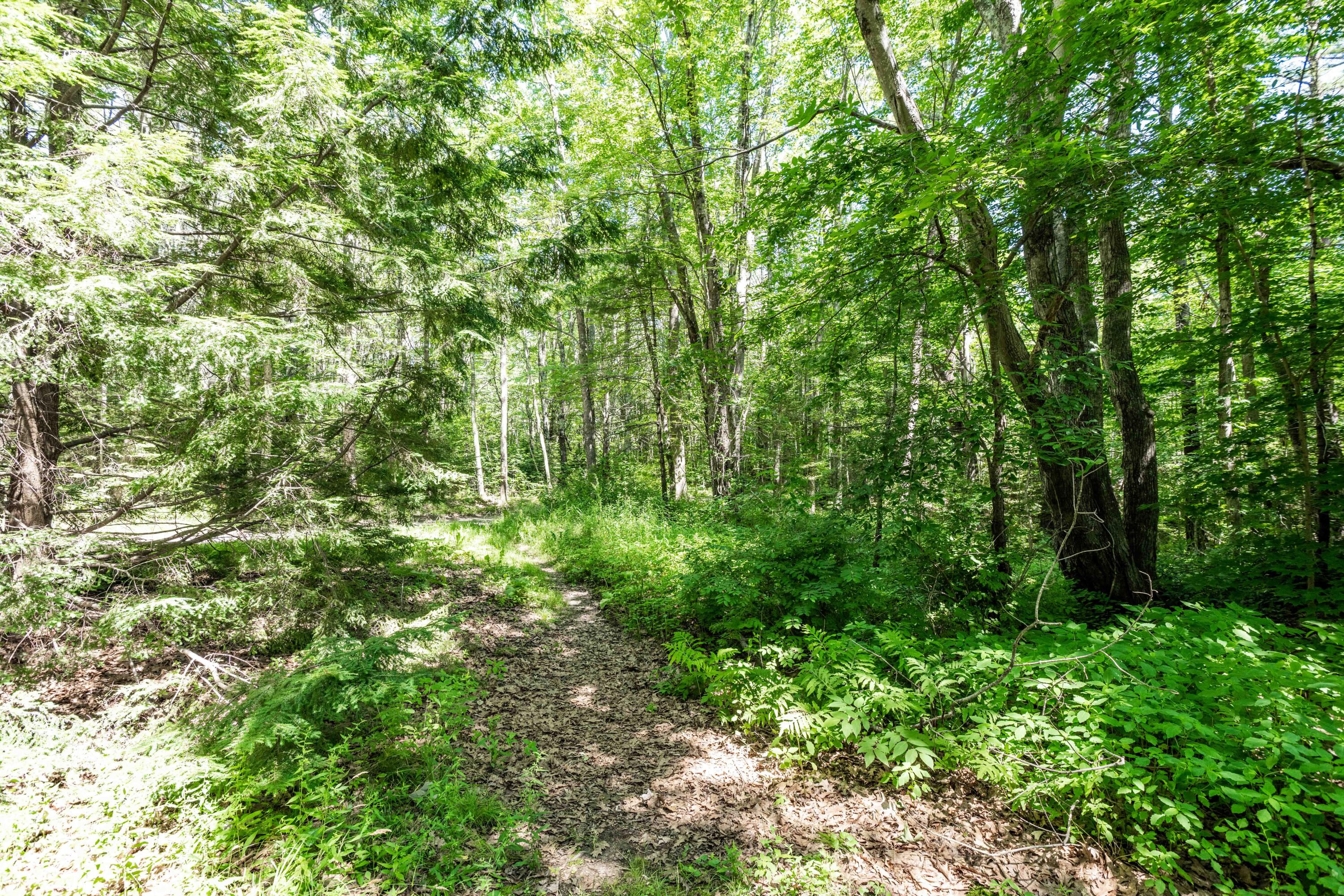 255 Log Cabin Road Arundel, ME 04046 - Photo 61 of 82 logcabin-78