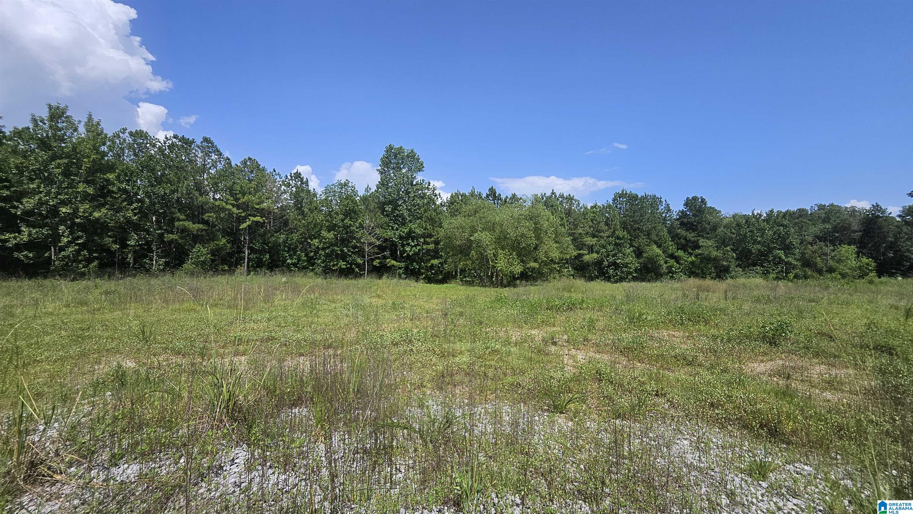 8183 Hopewell Road Bessemer, AL 35022 - Photo 7 of 7
