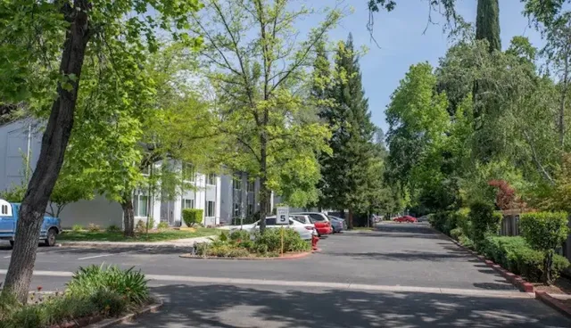 a front view of a house with a yard and fountain