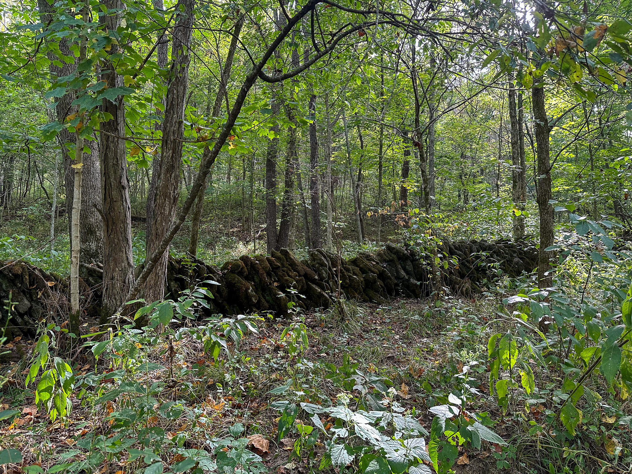 776 Adams Road Williamstown, KY 41097 - Photo 26 of 31 Pendleton_Dayton26