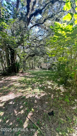 a view of a trees with a yard