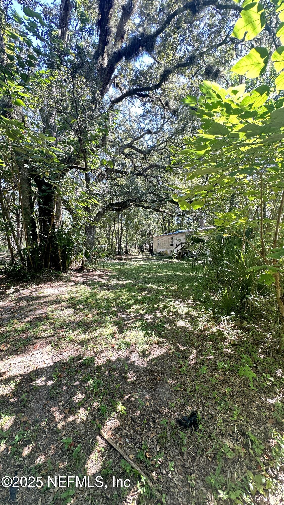 7488 Ricker Road Jacksonville, FL 32244 - Photo 11 of 13 a view of a trees with a yard