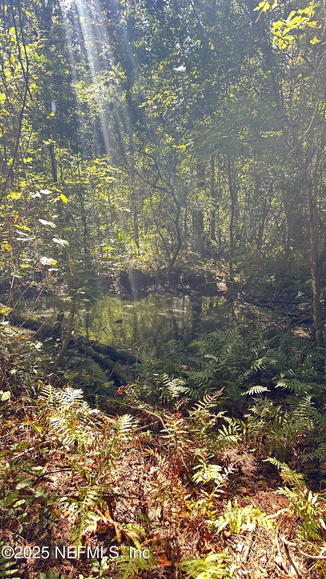 7488 Ricker Road Jacksonville, FL 32244 - Photo 4 of 13 a backyard of a house