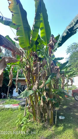a backyard of a house with lots of green space