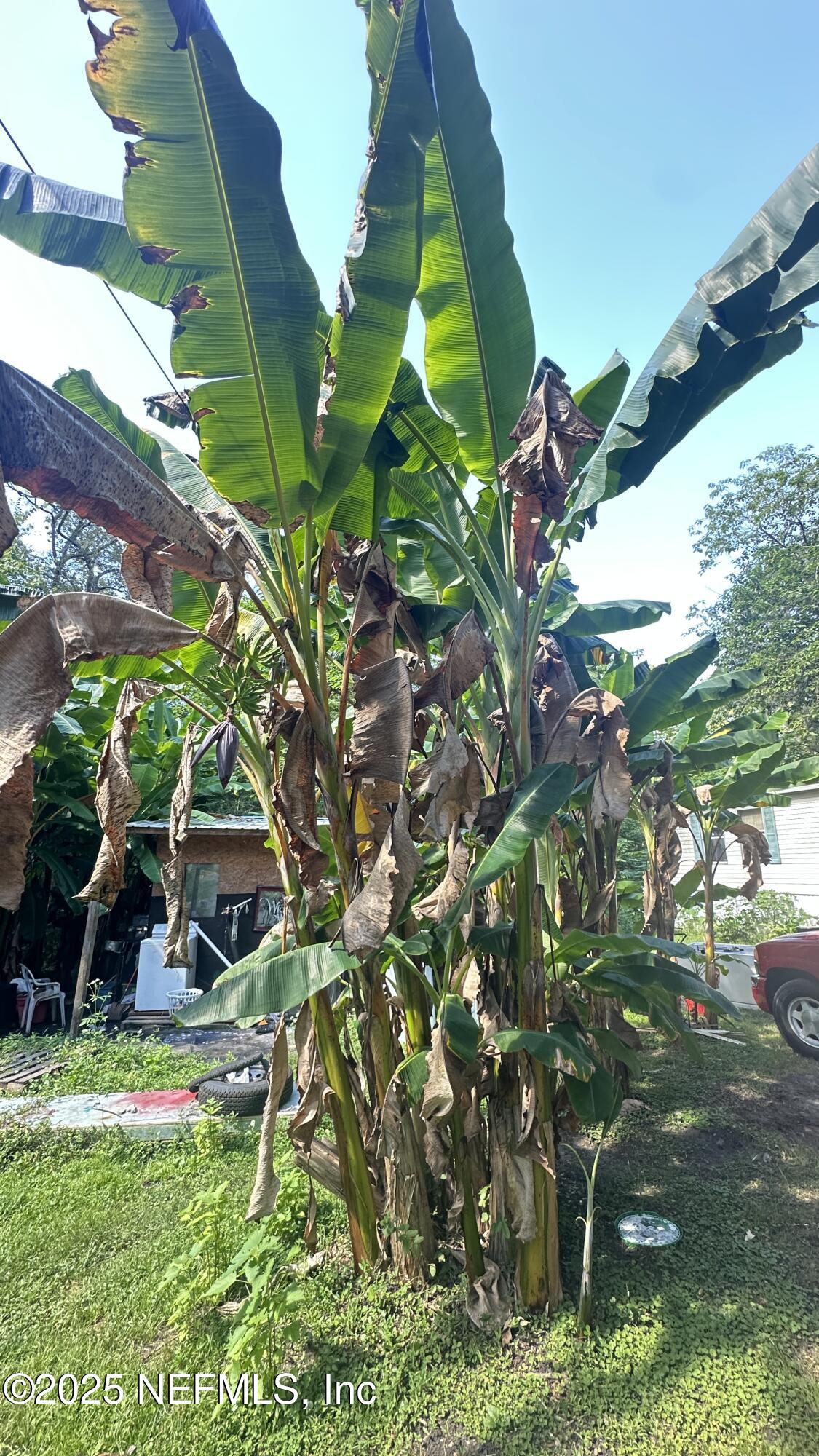 7488 Ricker Road Jacksonville, FL 32244 - Photo 6 of 13 a backyard of a house with lots of green space