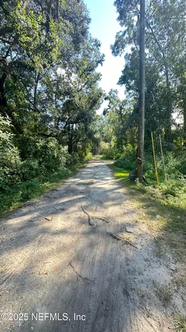 a view of a yard with a tree