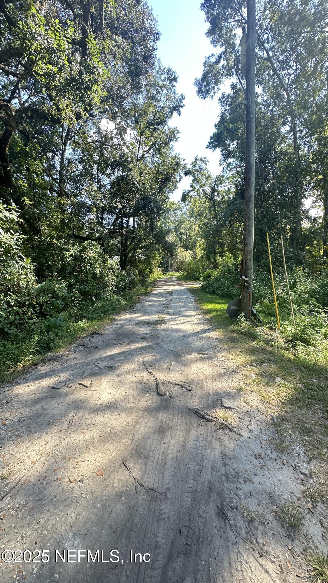 7488 Ricker Road Jacksonville, FL 32244 - Photo 9 of 13 a view of a yard with a tree