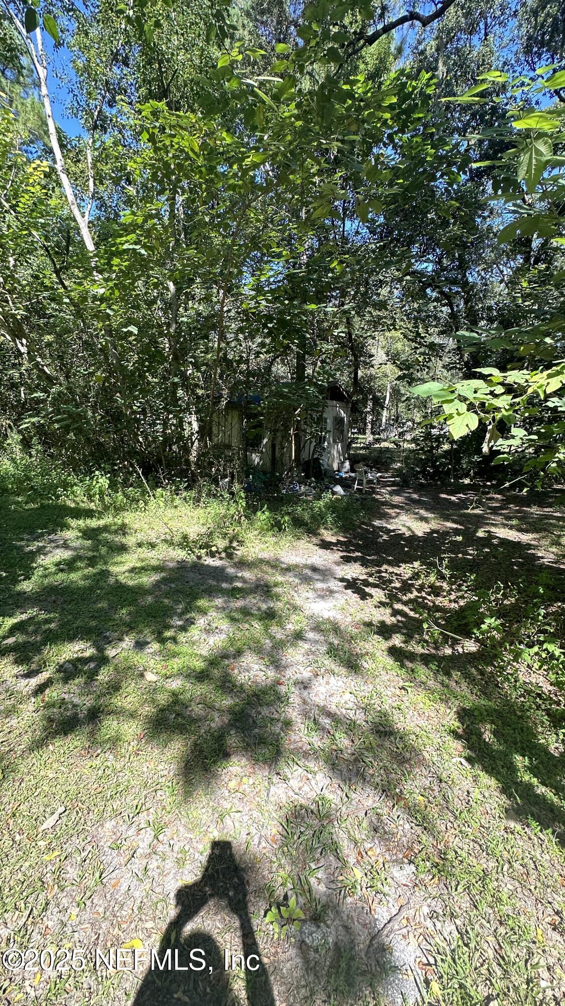 7488 Ricker Road Jacksonville, FL 32244 - Photo 10 of 13 a view of a tree with a yard